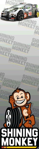Shining Monkey 160 x 600