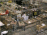 JLA USA08 Th