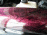 DSCN6710 Th