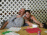 DSCN6739 Th