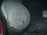 P1010112 Th