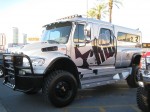 IMG 7486 Th