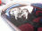 SEMA Show 2010