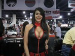 SEMA Show 2010