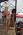 AC Photo 065 Th