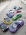 TmHybridPASPic (11)_opt