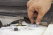 Project Forte: KIA Forte Coupe - HSD Coilover Suspension Install