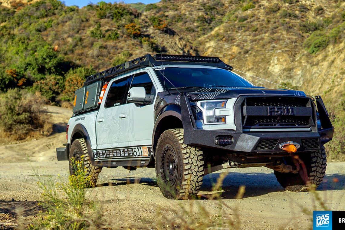 Stay Frosty: The Tactical Raptor That's Up For Anything
