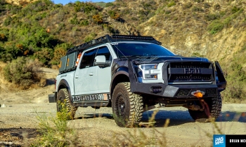Stay Frosty: The Tactical Raptor That's Up For Anything