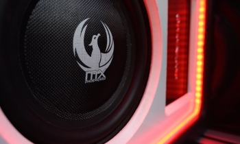 Phoenix Gold MX 12" Dual 4-Ohm 300W Slim Subwoofer