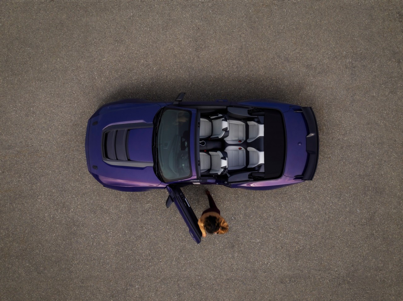 Ford Mustang Dark Horse SC Convertible 3 157