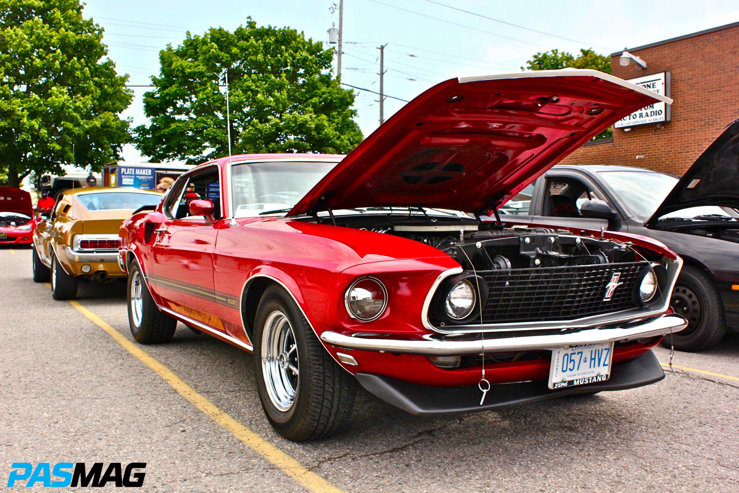 Grass Roots Show 'n Shine