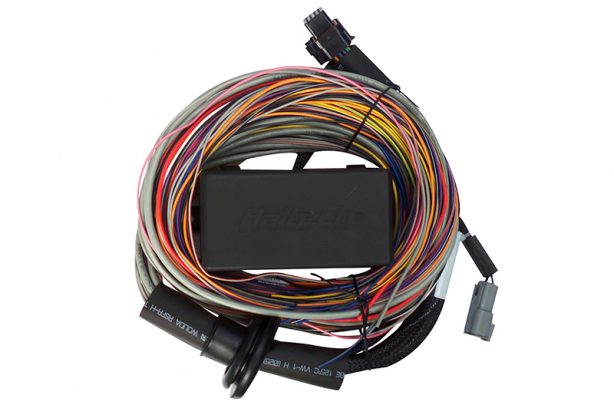 Haltech Elite 750 DIY Crimping Pack Promo pasmag 2020 02
