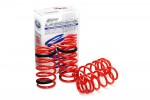 Espelir Super Downsus Lowering Springs For Honda Civic Type R (FK8)