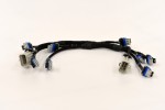 Wiring Specialties LS3 Coilpack Harness Wiring Specialties LS3 Coilpack Harness